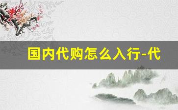国内代购怎么入行-代购东西怎么进入国内