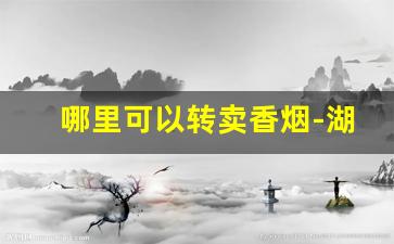 哪里可以转卖香烟-湖南香烟价格表和图片