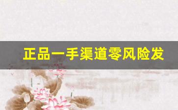 正品一手渠道零风险发货快-一手货源省心省力