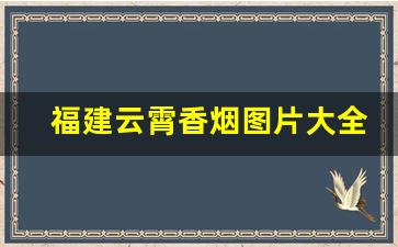福建云霄香烟图片大全