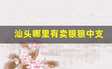 汕头哪里有卖银狼中支香烟的-汕头哪里烟店品种多
