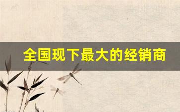 全国现下最大的经销商有哪些