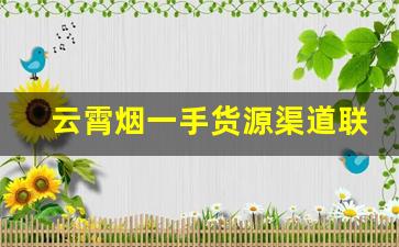 云霄烟一手货源渠道联系方式