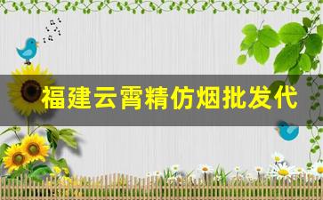 福建云霄精仿烟批发代理