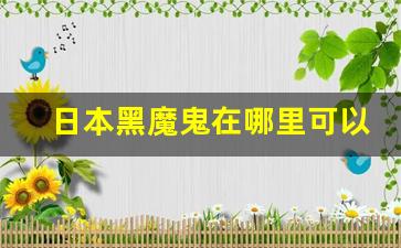 日本黑魔鬼在哪里可以买-日本黑魔鬼2000售价