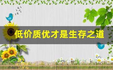 低价质优才是生存之道-质量优才是打开市场唯一的钥匙